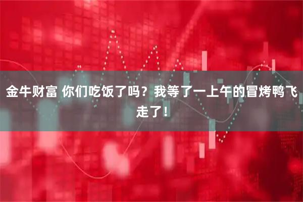 金牛财富 你们吃饭了吗？我等了一上午的冒烤鸭飞走了！